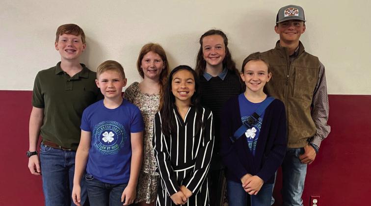 Childress County 4-Hers compete in District Round-Up, Consumer Decision Making