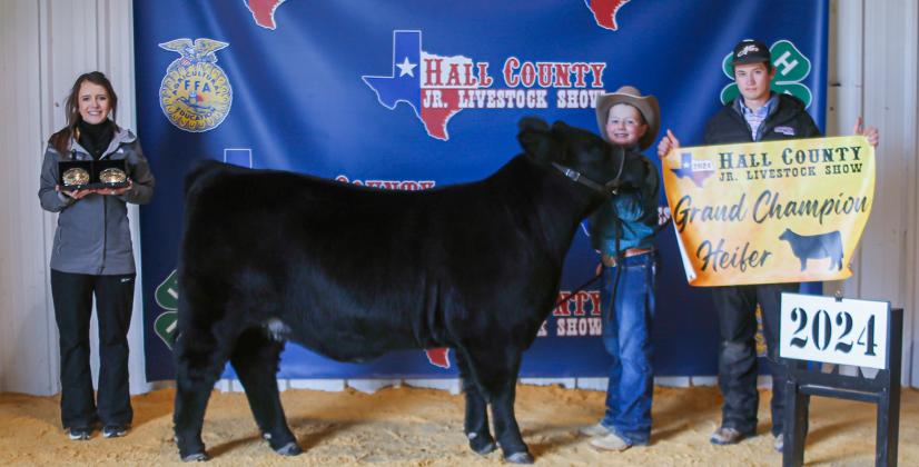 Tucker Brooks, Grand Champion Heifer KKR Photography