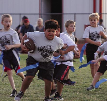 Wellington youth take the field