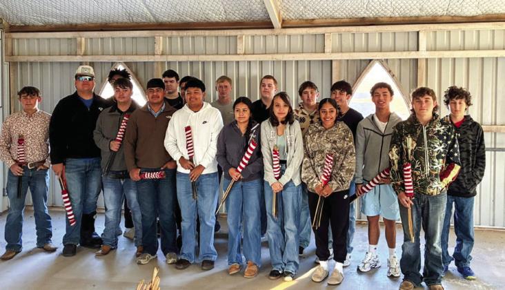 FCCLA, FFA members honor veterans