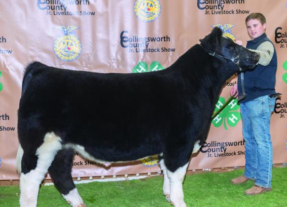 Kane Waters shows the Reserve Breed Champ All Other Breeds (AOB) Steer, purchased by Kathy Fowler and Donley County Gin at the Premium Sale.