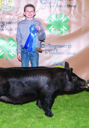 Holden Wischkaemper exhibits the first-place Class 3 Cross Swine, purchased by Kathy Fowler and Kevin Huddleston Sales at the Premium Sale.