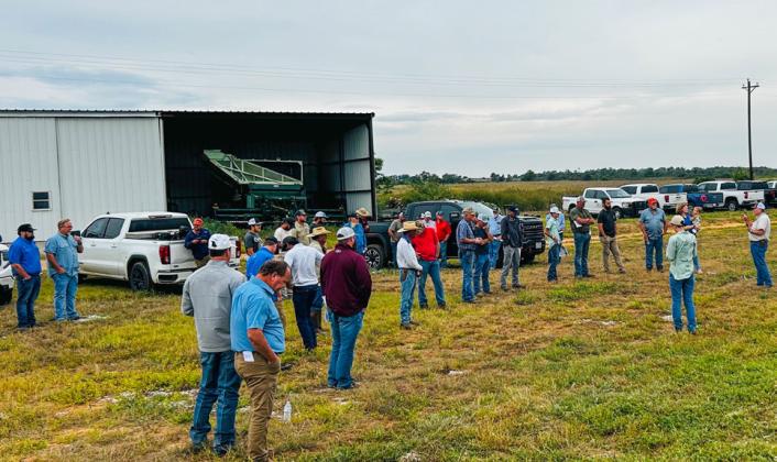Texas A&amp;amp;M AgriLife Extension Entomologist-Amarillo Tyler Gilbreath comments on Rex Henard Farms’ aggressive control of insects in its 2025 cotton crop, resulting in increased yields, better crop quality, reduced economic losses, higher profits and environmental benefits, like protection of beneficial insects.