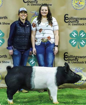 Collingsworth 4-H, FFA youth experience Premium Sale