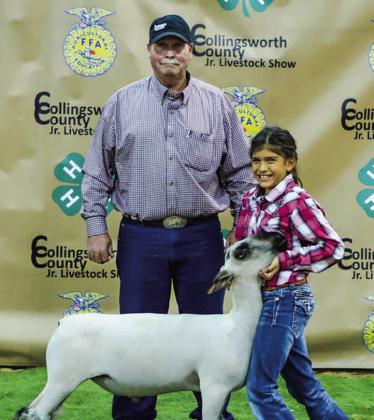 Collingsworth 4-H, FFA youth experience Premium Sale