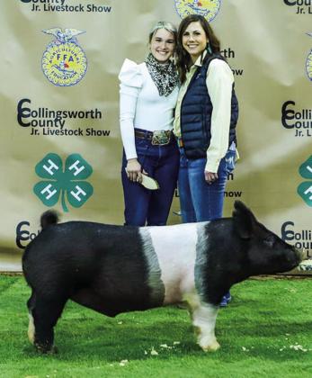 Collingsworth 4-H, FFA youth experience Premium Sale