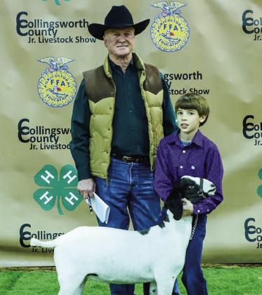Collingsworth 4-H, FFA youth experience Premium Sale