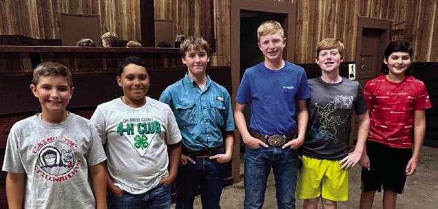 Childress County 4-H elects new officers, announces poster contest winners