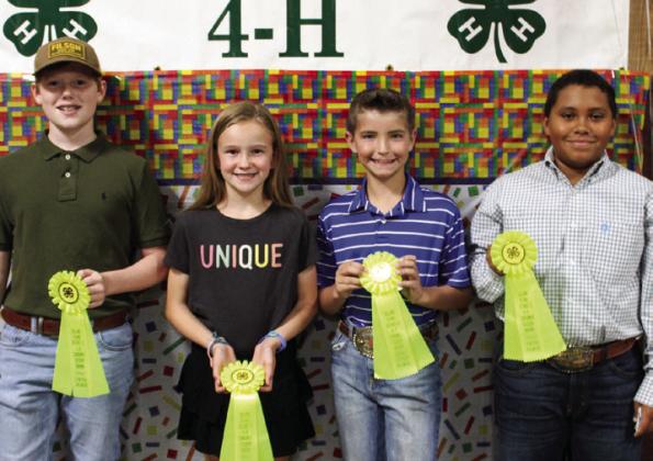 The Junior Consumer Decision Making Team placed fifth. From left, Ryker Schaefer, Reagan Souder, Quay Bruce and Bryson Session.