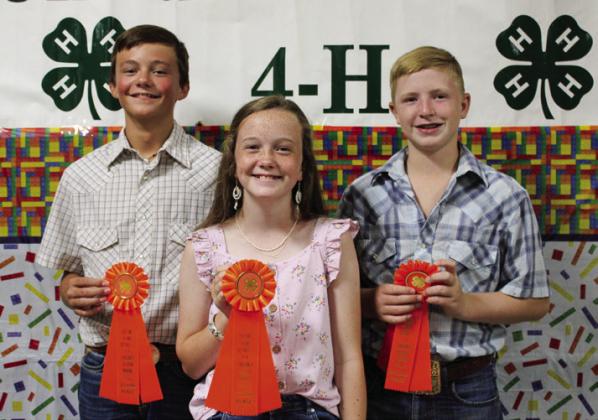 The Intermediate Consumer Decision Making Team placed second. From left, Ben Souder, Jentry Souder and Sterling Bruce. Not pictured is Colee Cox.