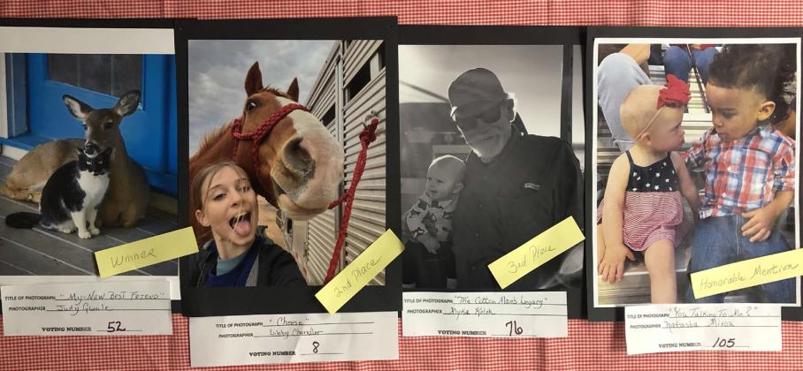 Photography winners named