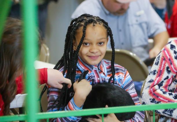 Hall County Jr. Livestock Show exhibitors takes the ring