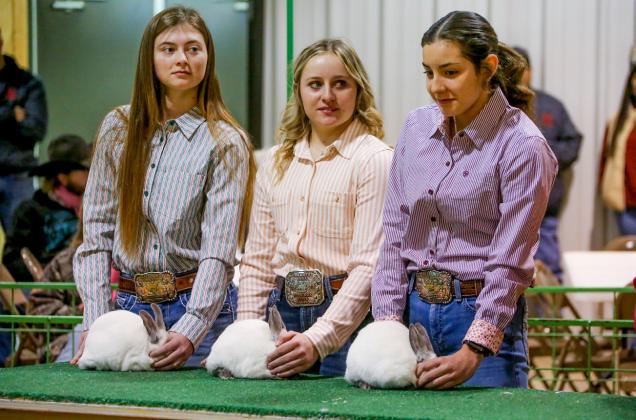 Hall County Jr. Livestock Show exhibitors takes the ring