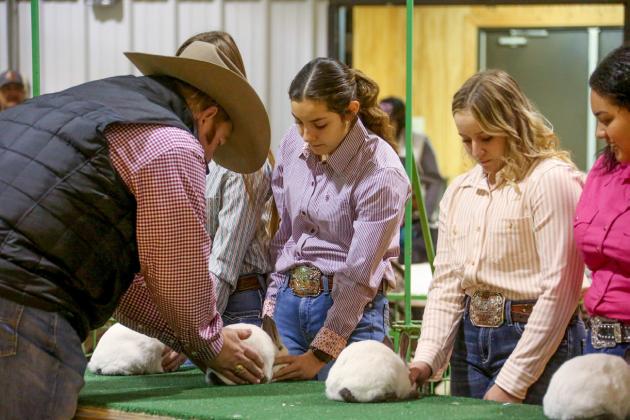 Hall County Jr. Livestock Show exhibitors takes the ring