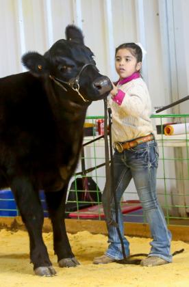 Hall County Jr. Livestock Show exhibitors takes the ring