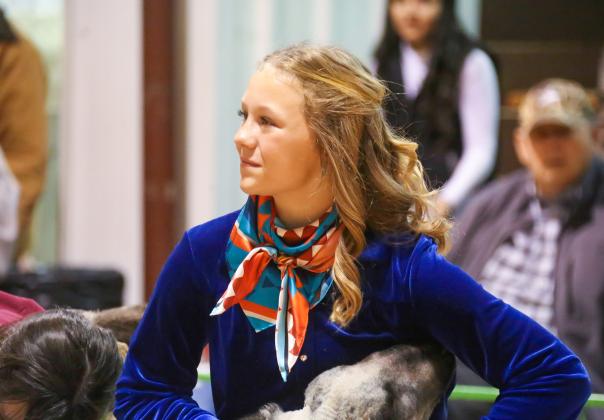 Hall County Jr. Livestock Show exhibitors takes the ring
