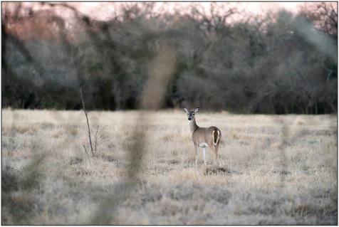 Ensuring a safe and memorable hunting season