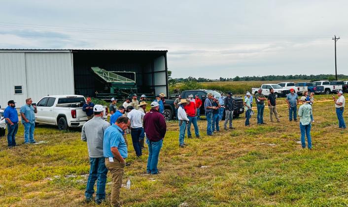 Texas A&amp;M AgriLife Extension Entomologist-Amarillo Tyler Gilbreath comments on Rex Henard Farms’ aggressive control of insects in its 2025 cotton crop, resulting in increased yields, better crop quality, reduced economic losses, higher profits and environmental benefits, like protection of beneficial insects.