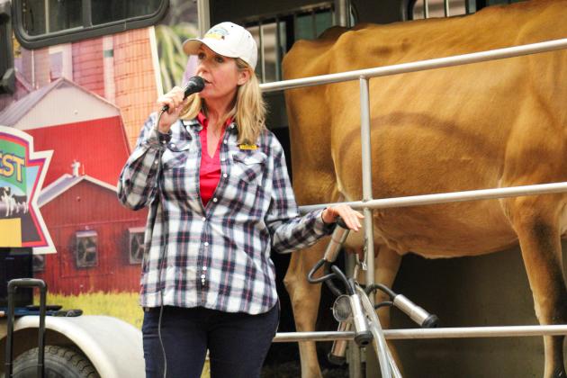 Southwest Dairy Farmers’ Mobile Diary Classroom Instructor Suzie Reece, joined by Jersey milk cow Molly, demonstrates how to milk a cow, describing how milk travels from the farm to the consumer.