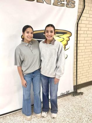 Memphis High School junior Jaelyn Gaxiola and senior Analise Graham are selected to the all-district volleyball team.