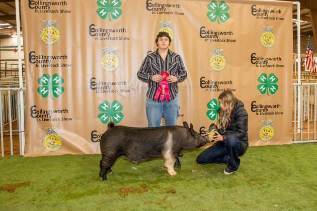 Aison Skelton shows the Reserve Breed Hampshire, purchased by Farmers Cooperative Society #1 at the Premium Sale.