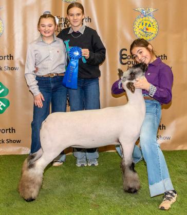 Brylnn Kemp shows the First Place Class 1 Lamb, purchased by Henard Farms at the Premium Sale.