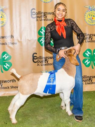 Hazel Estrada exhibits the First Place Class 3 Goat, purchased by Boedeker Flying Service at the Premium Sale.