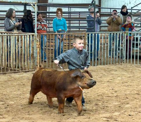 PeeWee Showman Stetson Kemp, a Wellington Elementary School kindergarten student, competes at the Saturday, Jan. 17 Collingsworth County Livestock Show. Older sisters, Wellington Junior High School eighth-grader Brylnn Kemp and sixth-grader Presley Kemp, taught their younger brother lots of showing skills. See page 4B for additional livestock show photos.