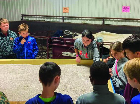 Memphis FFA members attend Ag Day