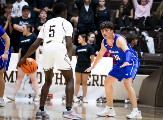 Bobcat basketball spotted in action