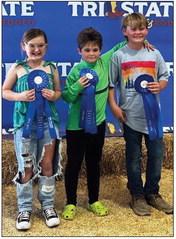 Representing Collingsworth County 4-H, the team of Presley Kemp, left, Keylen Jeffrey and Barrett Wiebe earn third place in Intermediate Side Dish category at the recent Tri-State Fair Food Challenge. “They displayed excellent teamwork abilities and creativity,” said Program Assistant Paige Owen. “We are excited for future competitions!”