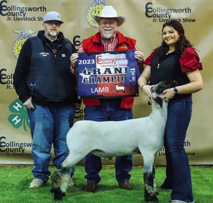 Collingsworth County youth reap rewards at 2023 livestock show