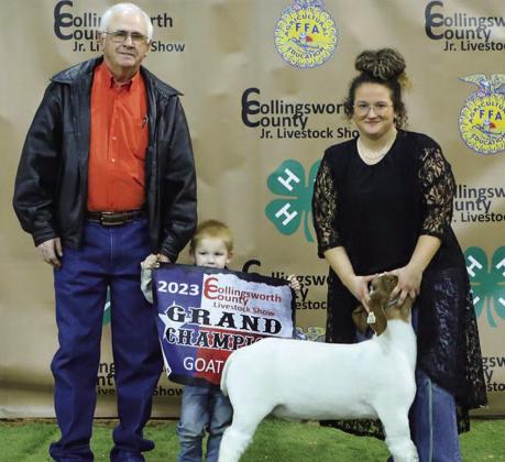 Collingsworth County youth reap rewards at 2023 livestock show