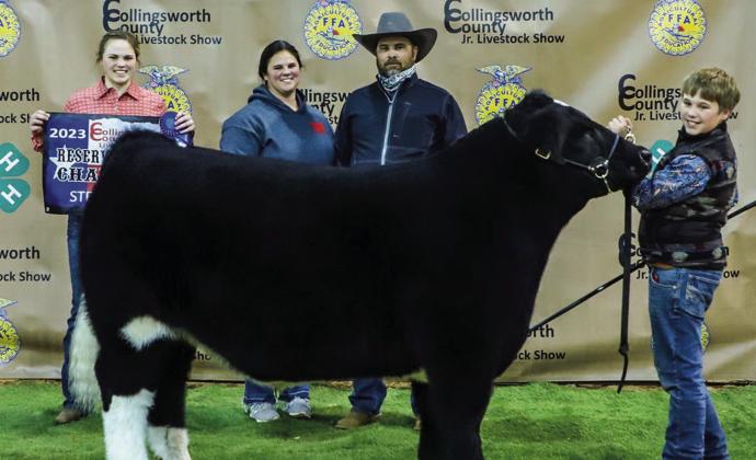 Collingsworth County youth reap rewards at 2023 livestock show