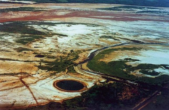 Turkey’s Johnson recalls dive into depths of Estelline Salt Springs