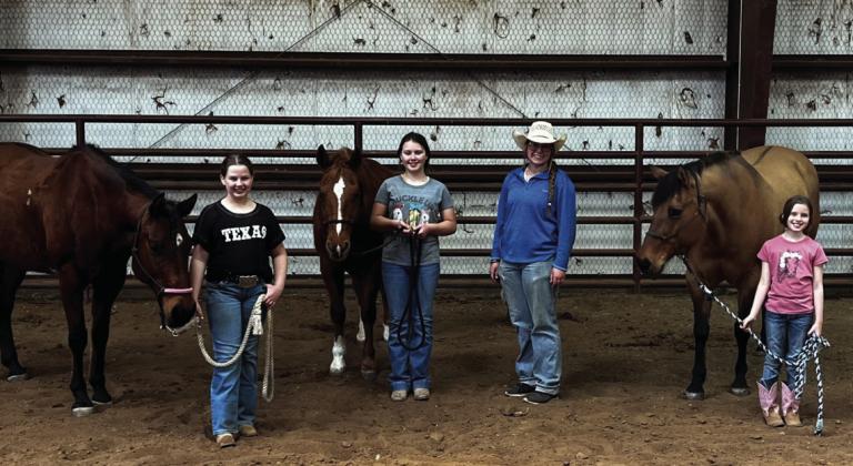 Youth partake in equine venture
