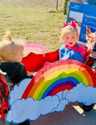 WPW’s Walk for HUGS makes impact