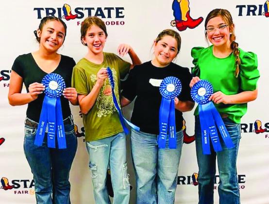 Collingsworth County 4-H places atTri-State Fair Food Challenge