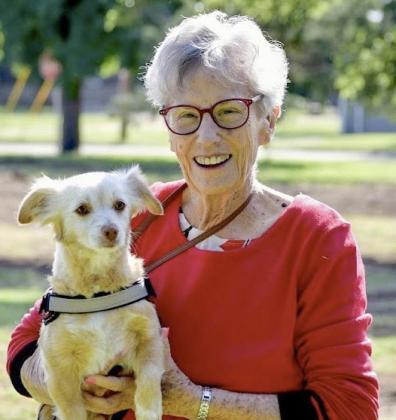 Wellington Lions Pet Vaccination Clinic deemed ‘wildly successful’