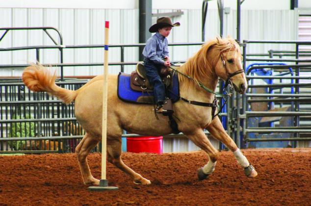 Wild Card Youth Rodeo in action