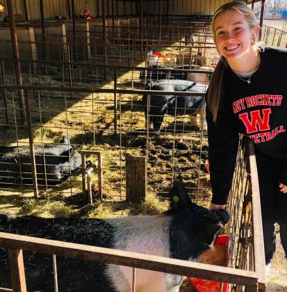 Livestock show senior showcase