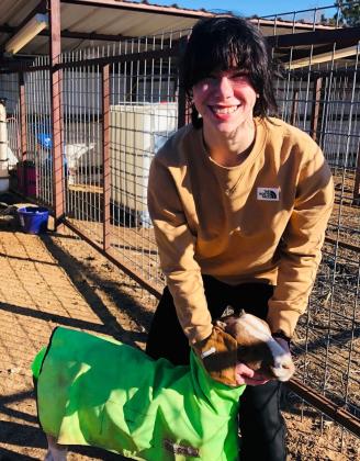 Livestock show senior showcase