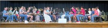 Wellington Music Department presents spring concert