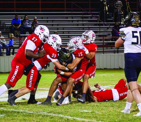 The Wellington Skyrockets clinch the 5-2A Division II title Friday, Nov. 1, soaring past the Wheeler Mustangs in a 23-14 final Friday, Nov. 1 at Powell Field in Wellington. The Red River Sun/Shauna Salinas