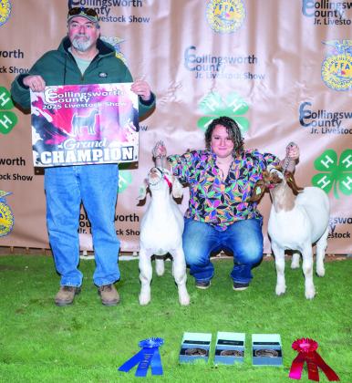 During the Saturday, Jan. 18 Collingsworth County Livestock Show festivities, Wellington High School junior Brecklyn Powell garners not only the Grand Champion Goat, Sr. Goat Showmanship and Sr. Lamb Showmanship honors, but the Herdsman Award as well, in memory of the late Don Reeves. Brecklyn’s dad, Jeff Powell, displays the Grand Champion Goat banner. See additional photos, page 4B. Photo Courtesy of Collingsworth County Livestock Show
