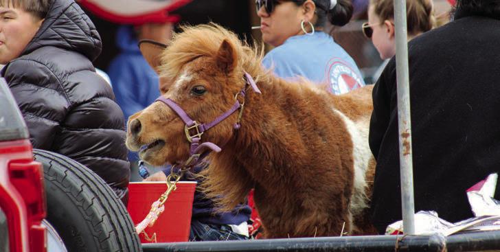 136th Annual Childress County Old Settlers Rodeo weekend