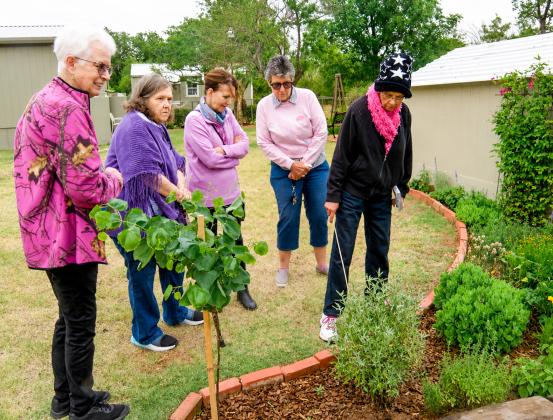 Despite the windy, chilly weather, members of Delta Kappa Gamma met for their monthly program Tuesday, May 19, taking a tour of Edith Johnson’s butterfly garden, certified by the North American Butterfly Association. The garden visit was a follow-up to an earlier program given to the group by Johnson, who is coined the “Butterfly Lady.” GRACE HOLMAN