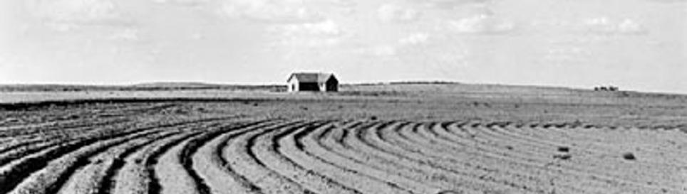 A timeline of Memphis