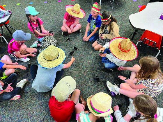 First graders experience life cycle of chicken