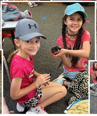 First graders experience life cycle of chicken